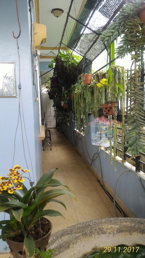 Homstay An Nhien دالات المظهر الخارجي الصورة